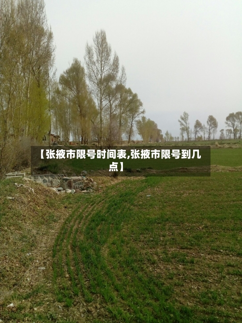【张掖市限号时间表,张掖市限号到几点】
