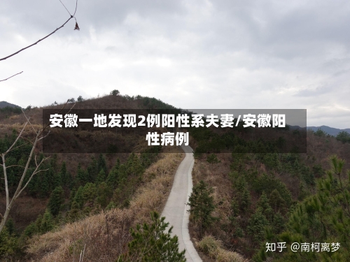 安徽一地发现2例阳性系夫妻/安徽阳性病例