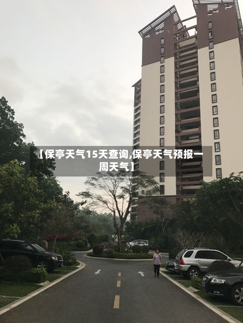 【保亭天气15天查询,保亭天气预报一周天气】