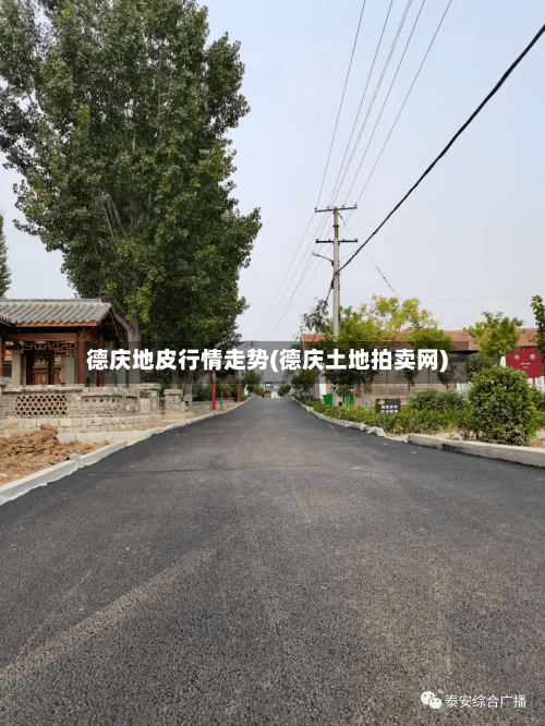 德庆地皮行情走势(德庆土地拍卖网)