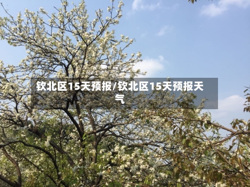 钦北区15天预报/钦北区15天预报天气