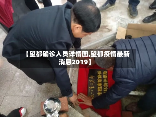 【望都确诊人员详情图,望都疫情最新消息2019】