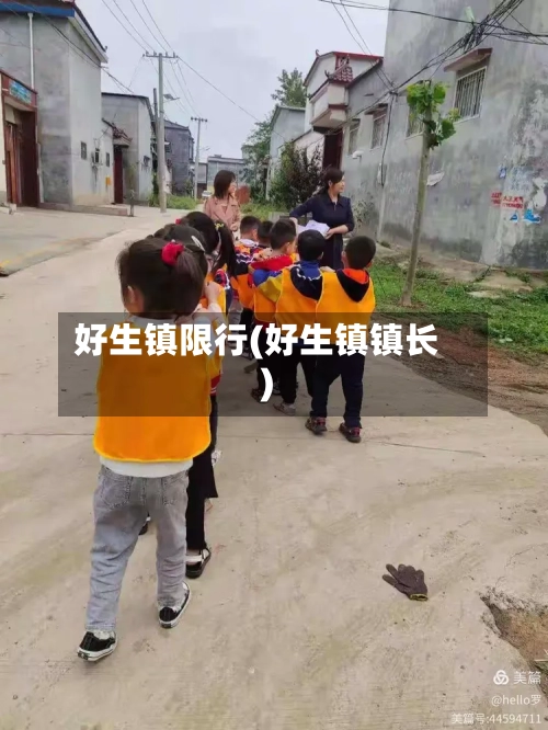 好生镇限行(好生镇镇长)
