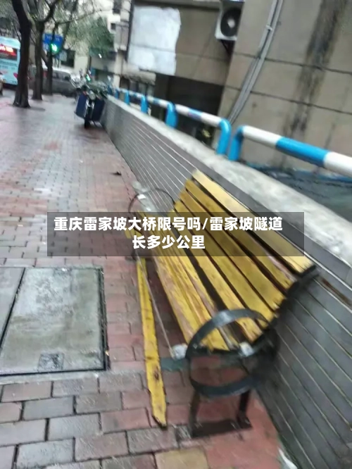 重庆雷家坡大桥限号吗/雷家坡隧道长多少公里