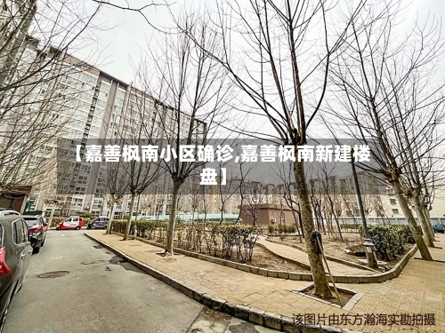 【嘉善枫南小区确诊,嘉善枫南新建楼盘】