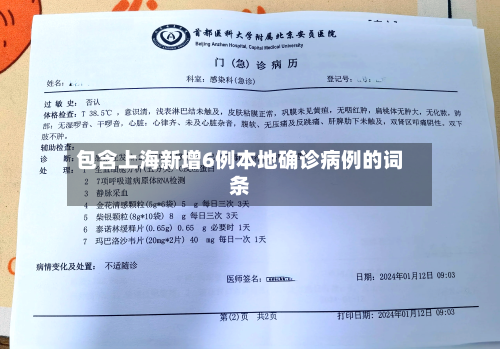 包含上海新增6例本地确诊病例的词条