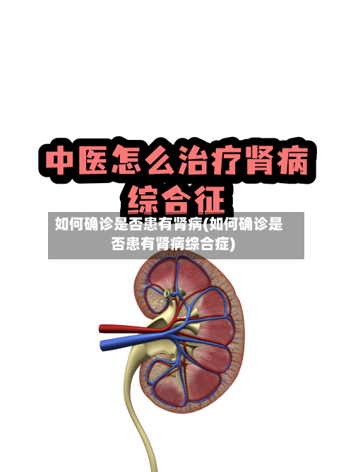 如何确诊是否患有肾病(如何确诊是否患有肾病综合症)