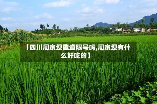 【四川周家坝隧道限号吗,周家坝有什么好吃的】