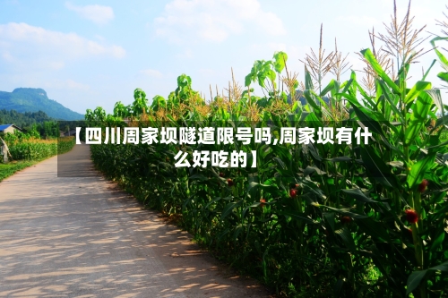 【四川周家坝隧道限号吗,周家坝有什么好吃的】