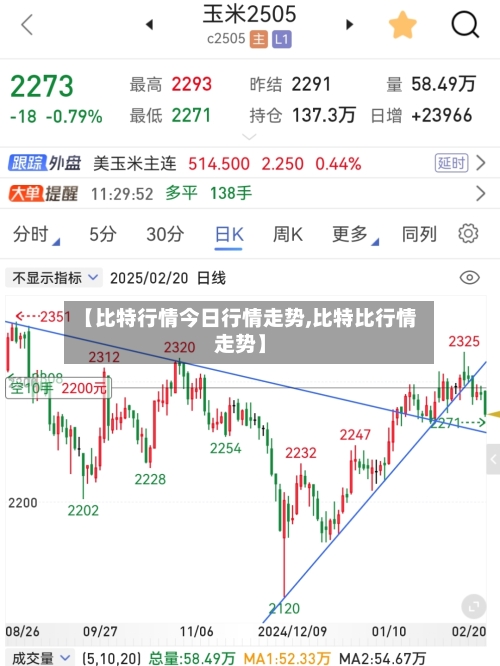 【比特行情今日行情走势,比特比行情走势】