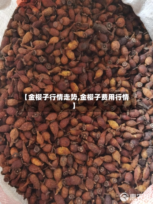 【金樱子行情走势,金樱子费用行情】