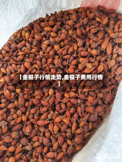 【金樱子行情走势,金樱子费用行情】