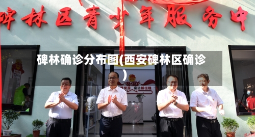 碑林确诊分布图(西安碑林区确诊)