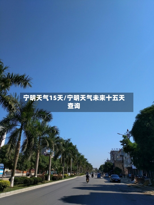 宁明天气15天/宁明天气未来十五天查询