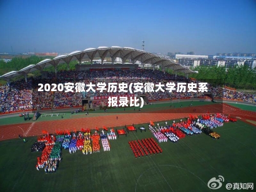 2020安徽大学历史(安徽大学历史系报录比)