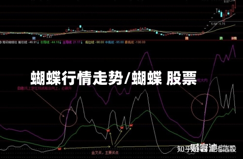 蝴蝶行情走势/蝴蝶 股票