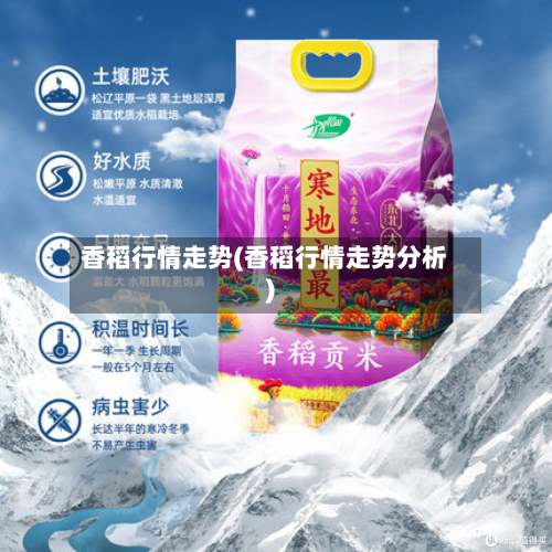 香稻行情走势(香稻行情走势分析)