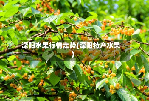 溧阳水果行情走势(溧阳特产水果)
