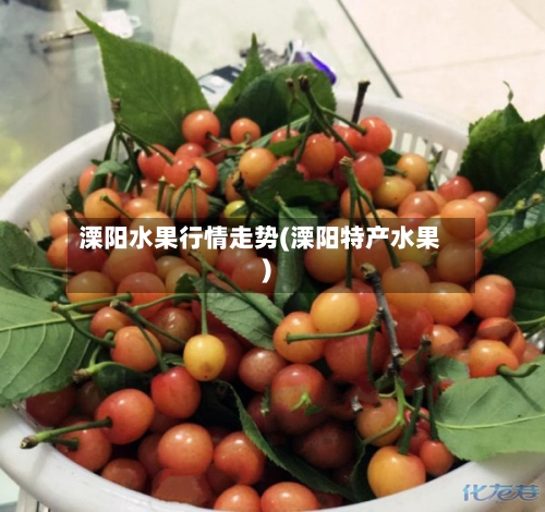 溧阳水果行情走势(溧阳特产水果)