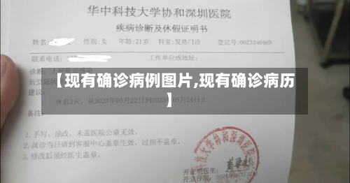 【现有确诊病例图片,现有确诊病历】