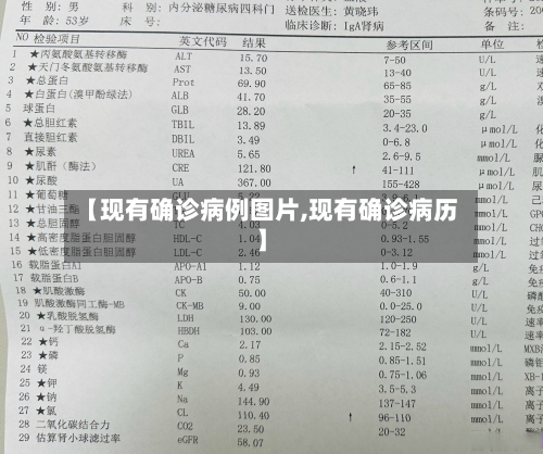 【现有确诊病例图片,现有确诊病历】