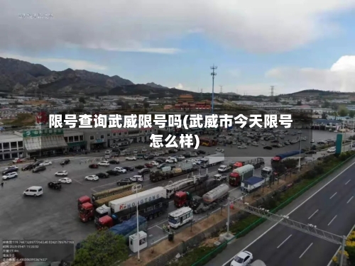 限号查询武威限号吗(武威市今天限号怎么样)
