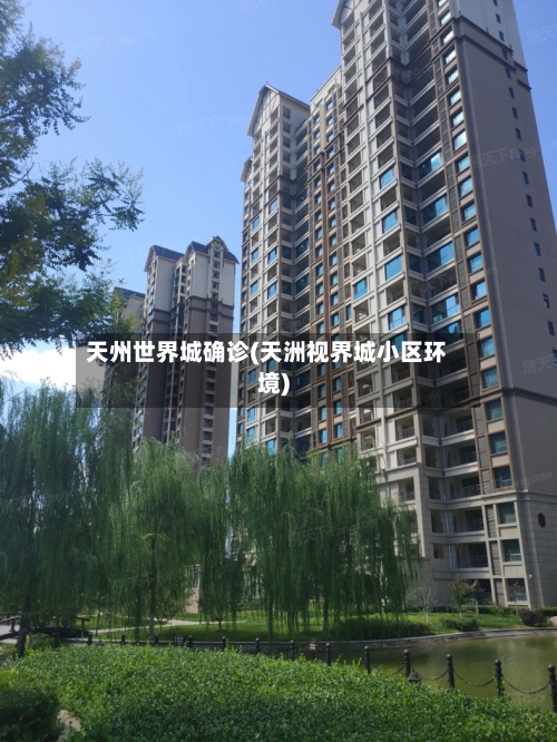 天州世界城确诊(天洲视界城小区环境)