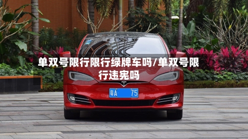 单双号限行限行绿牌车吗/单双号限行违宪吗