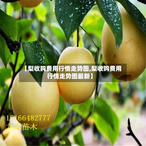 【梨收购费用行情走势图,梨收购费用行情走势图最新】