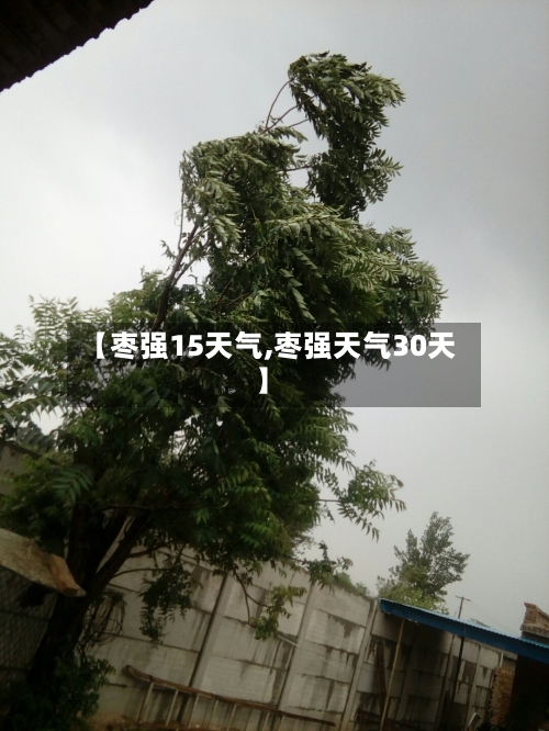 【枣强15天气,枣强天气30天】
