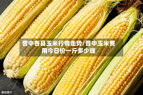 晋中各县玉米行情走势/晋中玉米费用今日价一斤多少钱