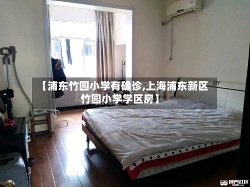 【浦东竹园小学有确诊,上海浦东新区竹园小学学区房】