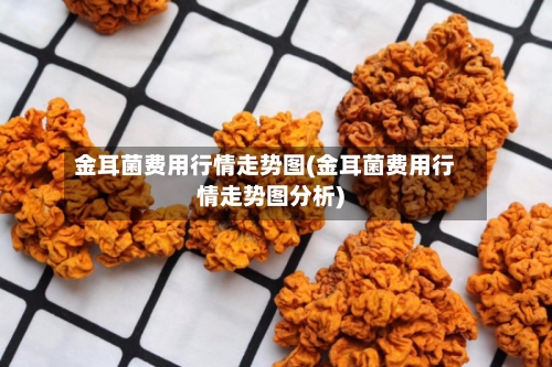 金耳菌费用行情走势图(金耳菌费用行情走势图分析)