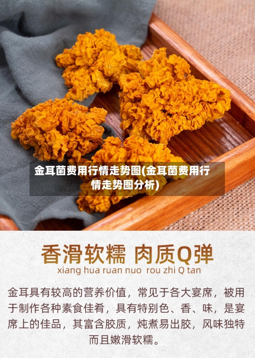 金耳菌费用行情走势图(金耳菌费用行情走势图分析)