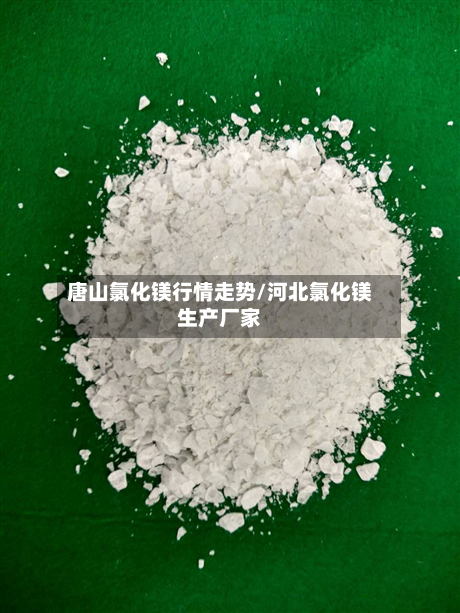唐山氯化镁行情走势/河北氯化镁生产厂家