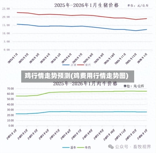 鸡行情走势预测(鸡费用行情走势图)