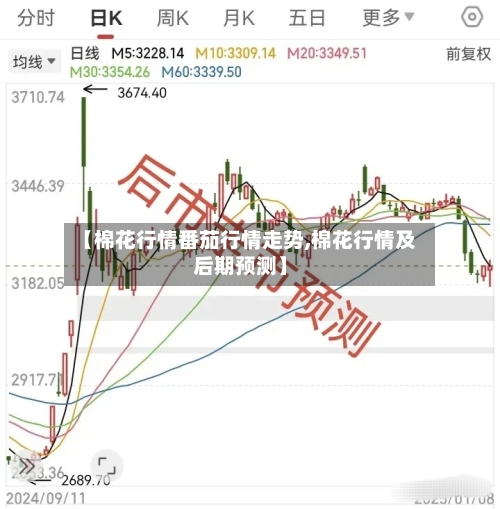 【棉花行情番茄行情走势,棉花行情及后期预测】