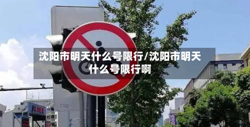 沈阳市明天什么号限行/沈阳市明天什么号限行啊