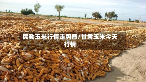 民勤玉米行情走势图/甘肃玉米今天行情