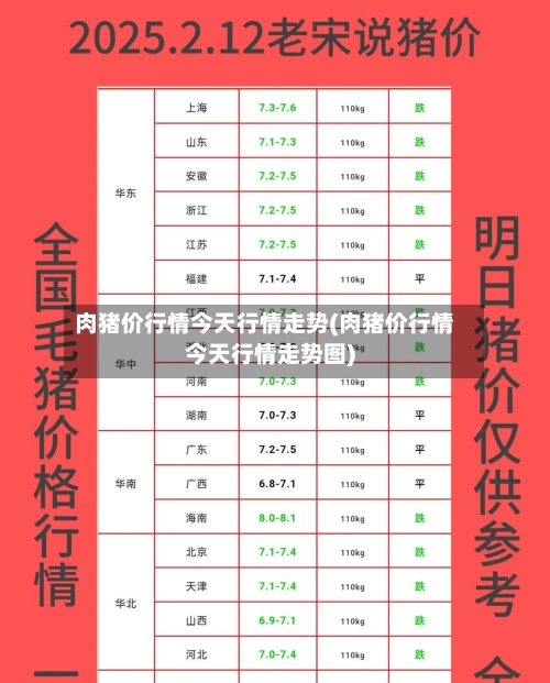 肉猪价行情今天行情走势(肉猪价行情今天行情走势图)