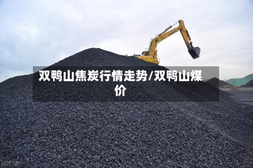 双鸭山焦炭行情走势/双鸭山煤价