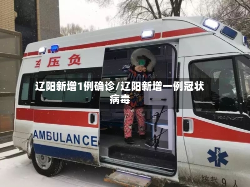 辽阳新增1例确诊/辽阳新增一例冠状病毒