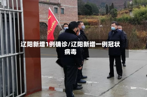 辽阳新增1例确诊/辽阳新增一例冠状病毒