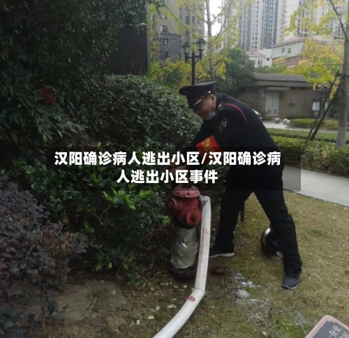 汉阳确诊病人逃出小区/汉阳确诊病人逃出小区事件