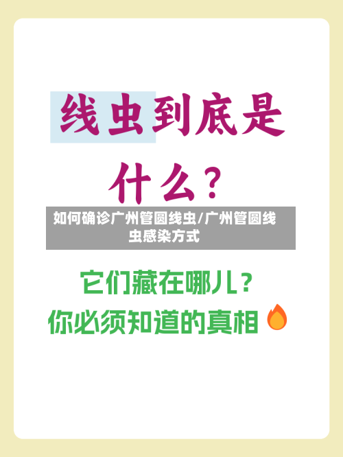 如何确诊广州管圆线虫/广州管圆线虫感染方式