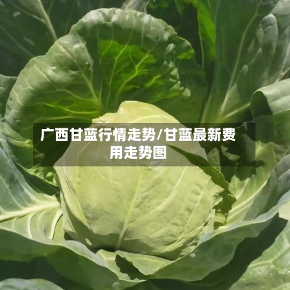 广西甘蓝行情走势/甘蓝最新费用走势图
