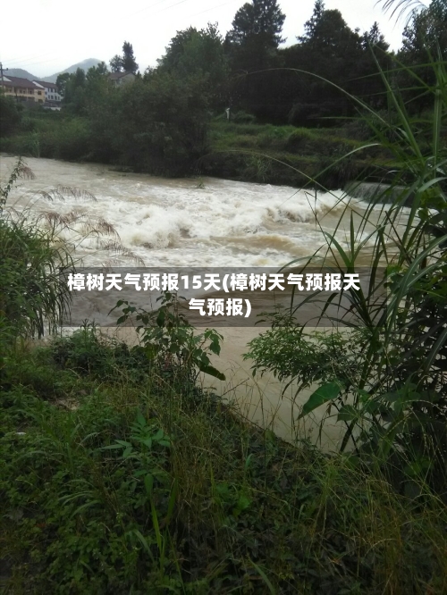 樟树天气预报15天(樟树天气预报天气预报)