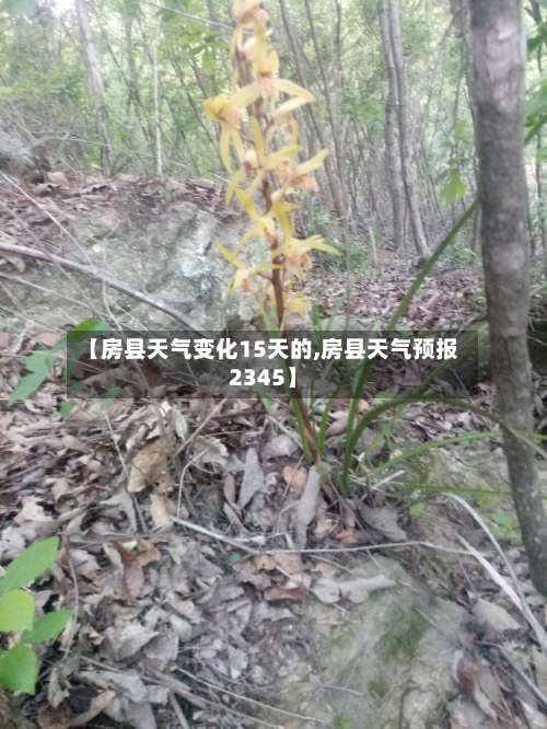 【房县天气变化15天的,房县天气预报2345】