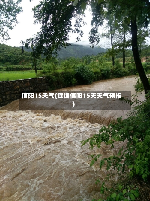 信阳15天气(查询信阳15天天气预报)