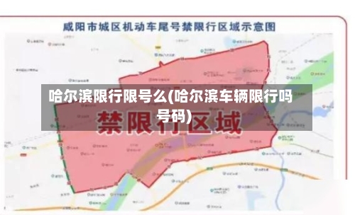 哈尔滨限行限号么(哈尔滨车辆限行吗号码)